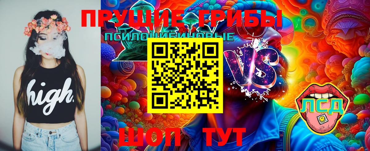 Фрязино  Галлюциногенные грибы мицелий  магазин    Вход с VPN 