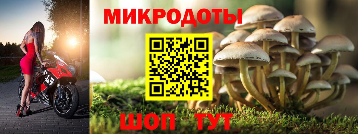 Псилоцибиновые грибы Psilocybine cubensis Фрязино